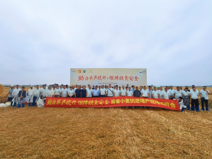 图片_副本.jpg
